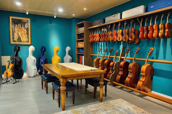 選擇藝聲家提琴