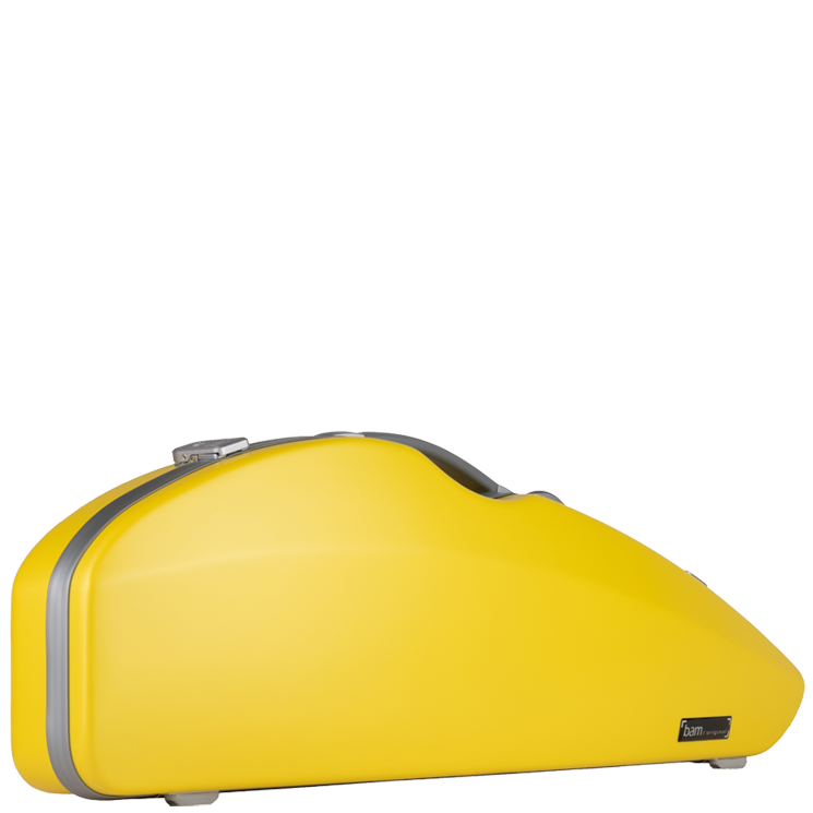 Bam BONBON 糖果系列 小提琴海豚盒 (黃)