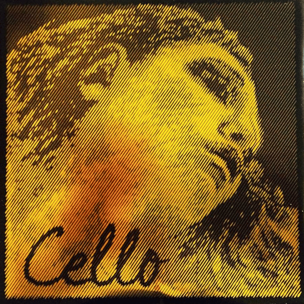 Pirastro Evah Pirazzi Gold 大提琴弦(套)