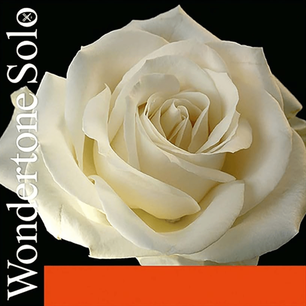 Pirastro Wondertone Solo 小提琴弦(套)