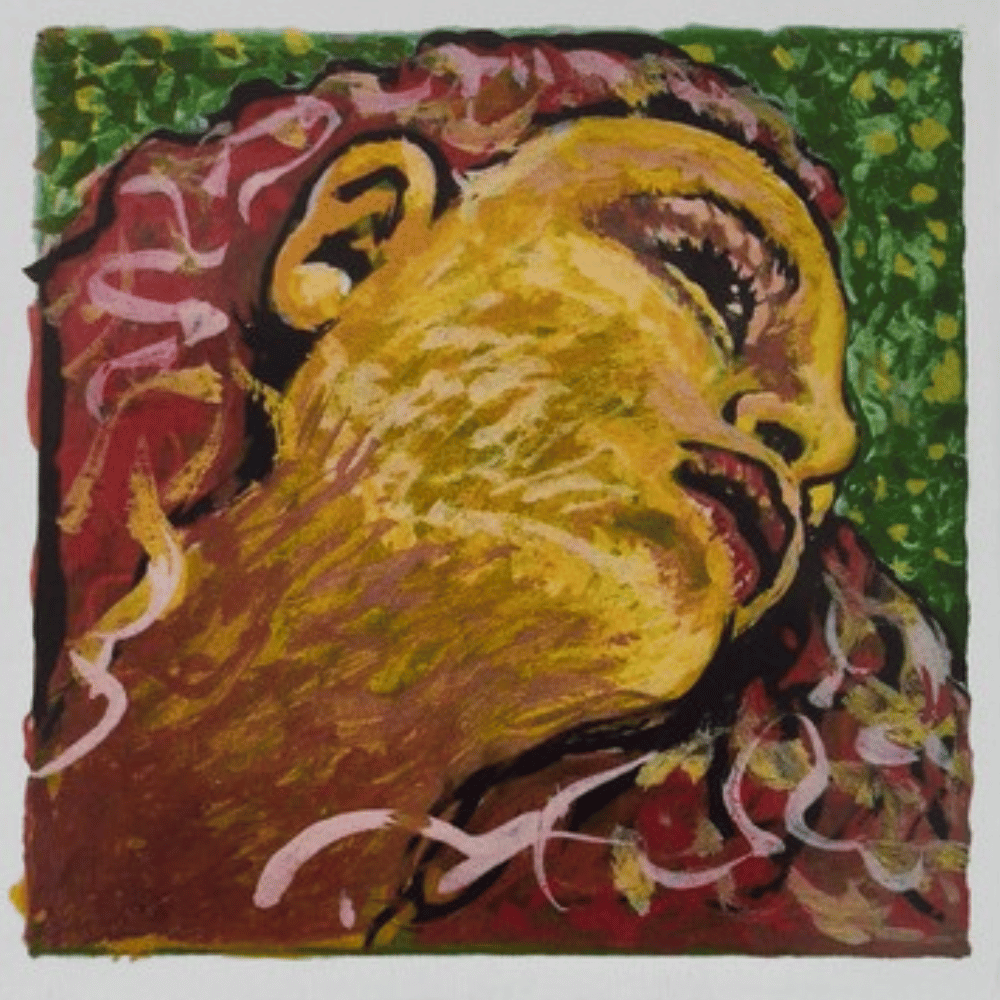 Pirastro Evah Pirazzi Neo 小提琴弦 4/4 (套)