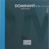 Dominant Pro DP100 4/4 小提琴弦(套)