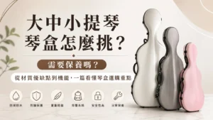 琴盒怎麼挑