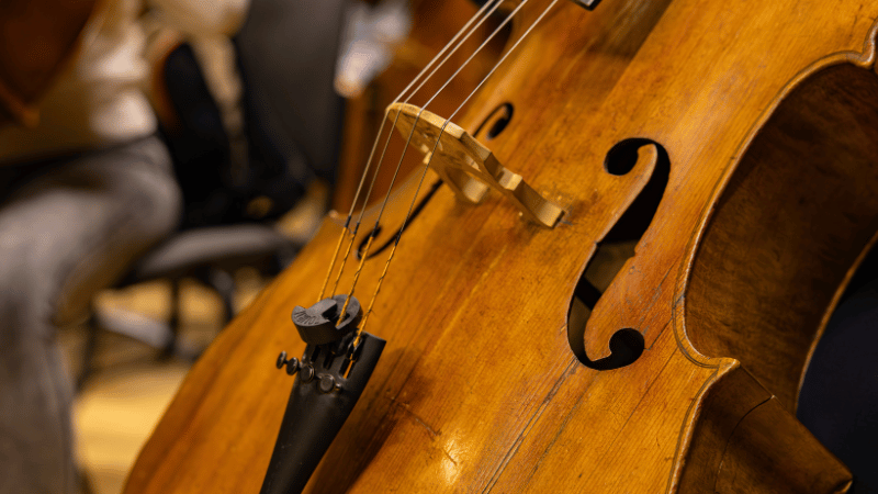 cello Bridge